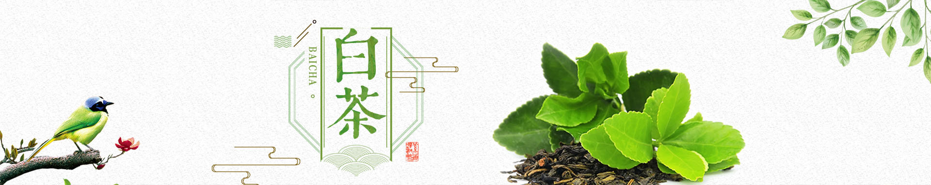 首頁幻燈2